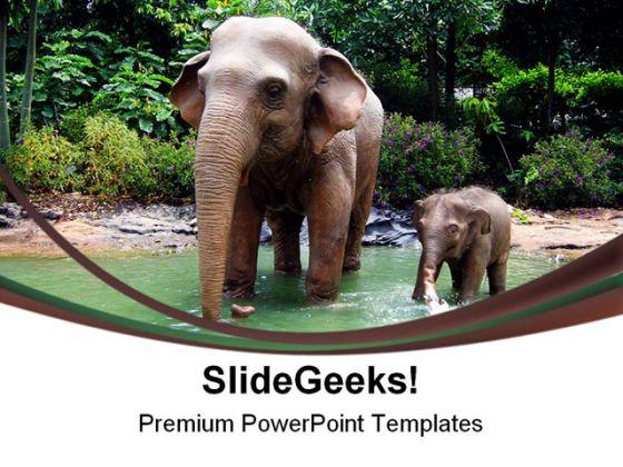 Jungle Elephant Animals PowerPoint Templates And PowerPoint Backgrounds  0211 | Presentation Graphics | Presentation PowerPoint Example | Slide  Templates