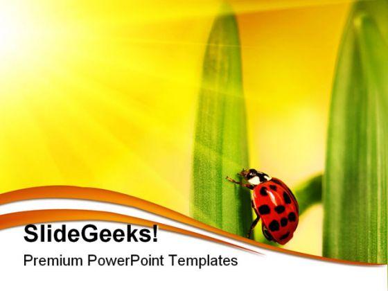 Lady bug struggling nature powerpoint templates and powerpoint backgrounds 0211 Slide01