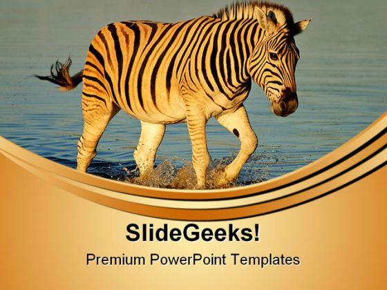 Plains zebras animals powerpoint templates and powerpoint backgrounds 0611 Slide01