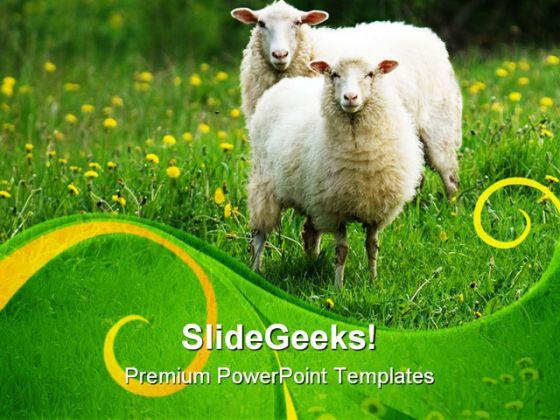 Sheep In Field Animals PowerPoint Templates And PowerPoint Backgrounds 0611  | Template Presentation | Sample of PPT Presentation | Presentation  Background Images