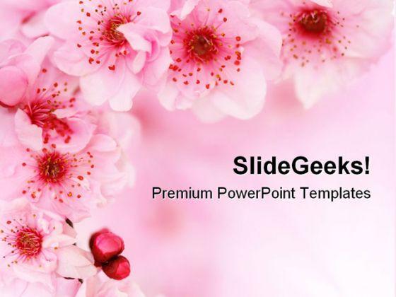 Spring Cherry Flowers Background Beauty PowerPoint Templates And PowerPoint  Backgrounds 0611 | PowerPoint Slide Clipart | Example of Great PPT | Presentations  PPT Graphics