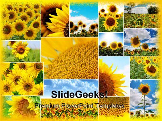 Sunflowers Collage Beauty Abstract PowerPoint Templates And PowerPoint Backgrounds 0211  Presentation Themes and Graphics Slide01