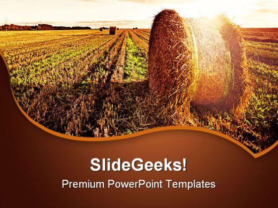 Wheat Field Agriculture PowerPoint Templates And PowerPoint Backgrounds  0511 | Presentation PowerPoint Templates | PPT Slide Templates |  Presentation Slides Design Idea