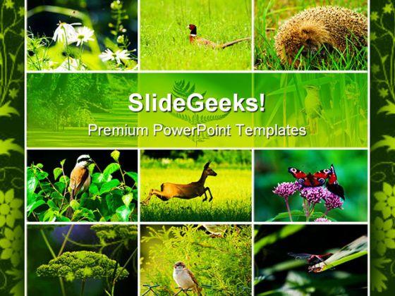 Wild nature animals powerpoint templates and powerpoint backgrounds 0511 Slide01