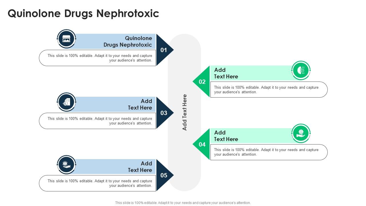 Quinolone Drugs Nephrotoxic In Powerpoint And Google Slides Cpp PPT Sample