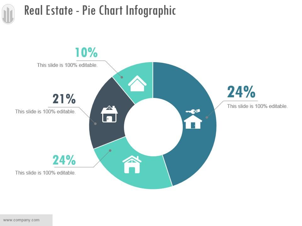 Infographic Pie Chart