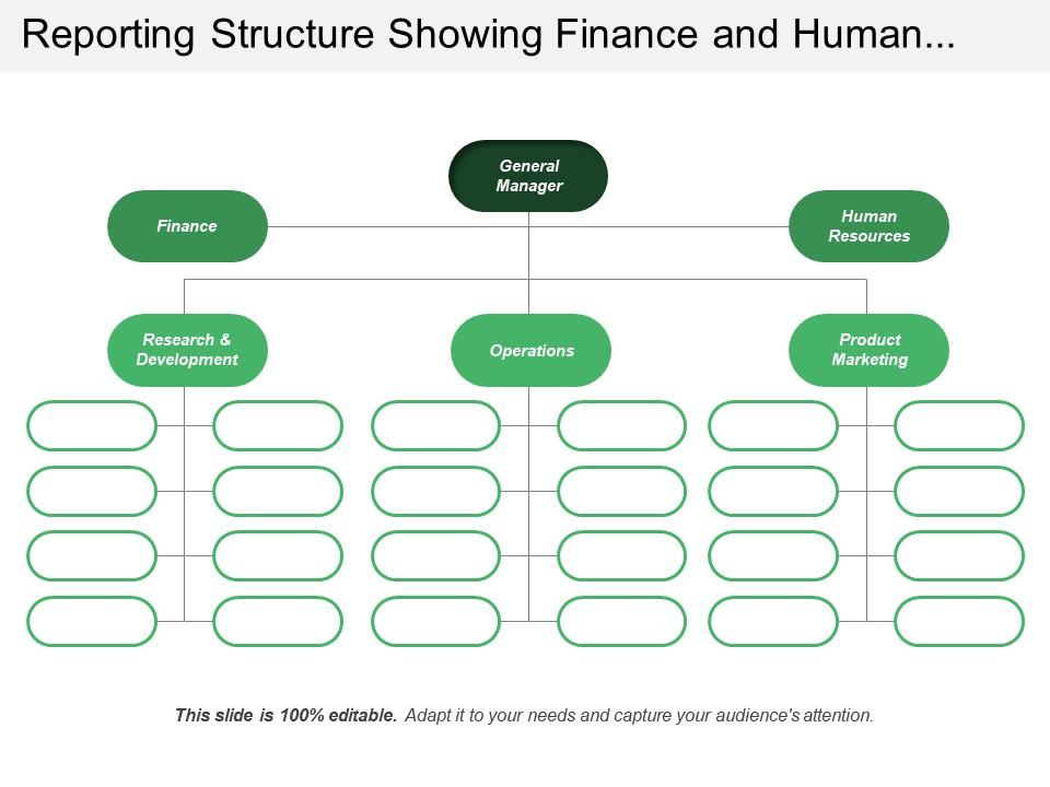 Reporting structure showing finance and human resource operations Slide01