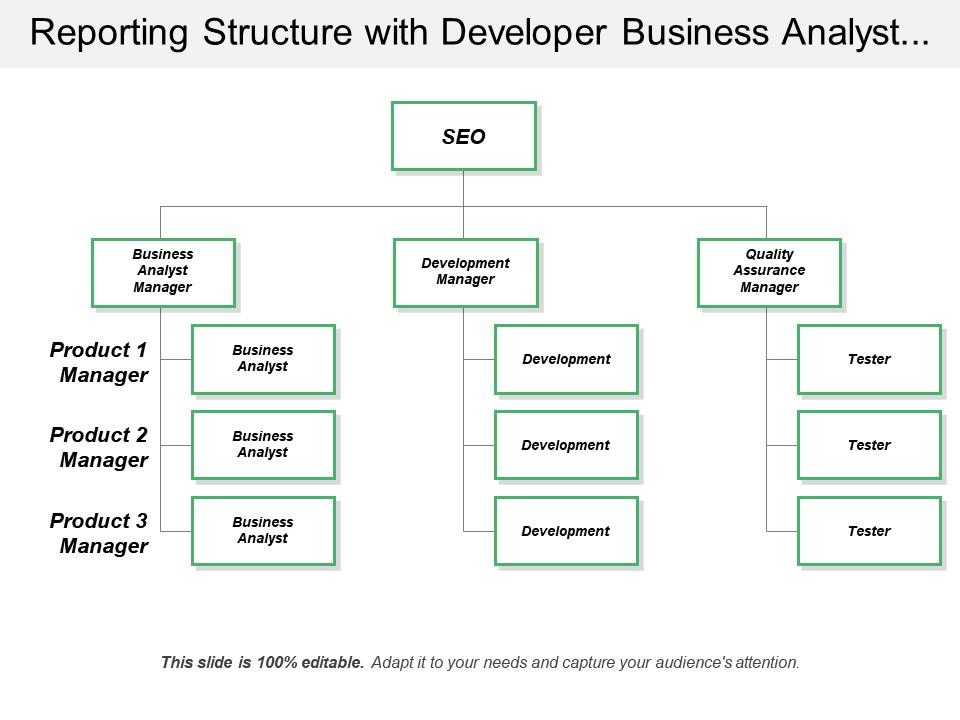 Reporting structure with developer business analyst tester Slide01