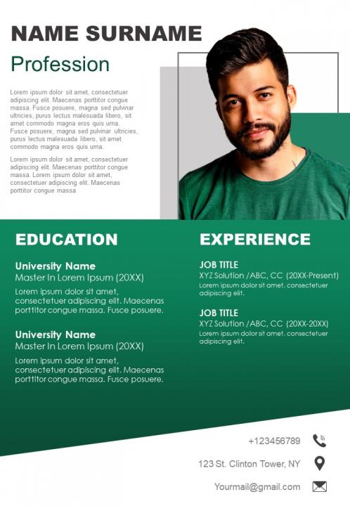 Resume cv example template with profession summary Slide01