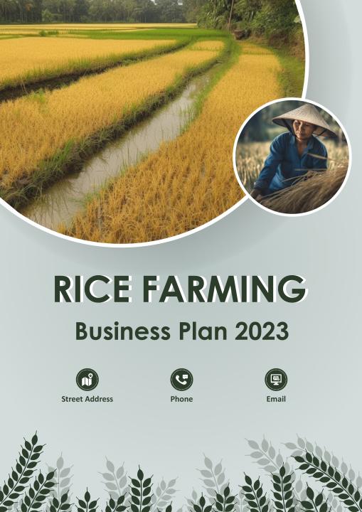 sample of rice farming business plan