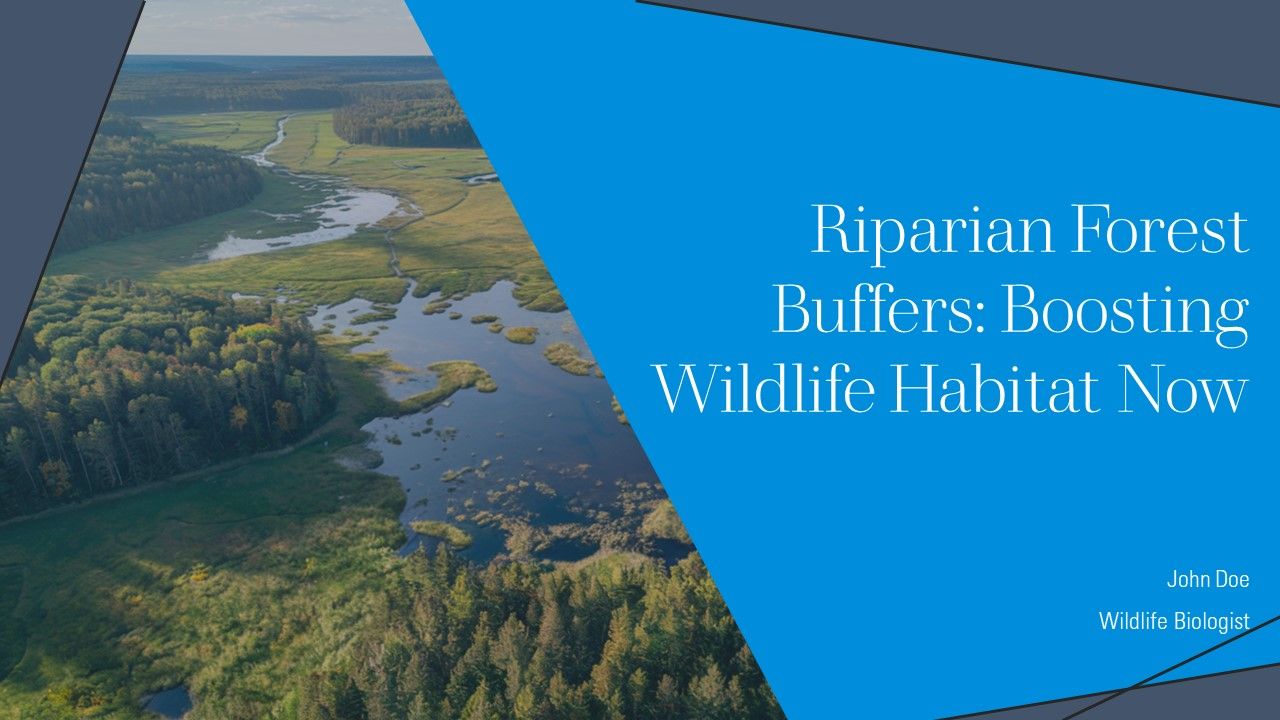 Riparian Forest Buffers Boosting Wildlife Habitat Now PPT Template AT Riparian Forest Buffers Boosting Wildlife Habitat Now PPT Template AT