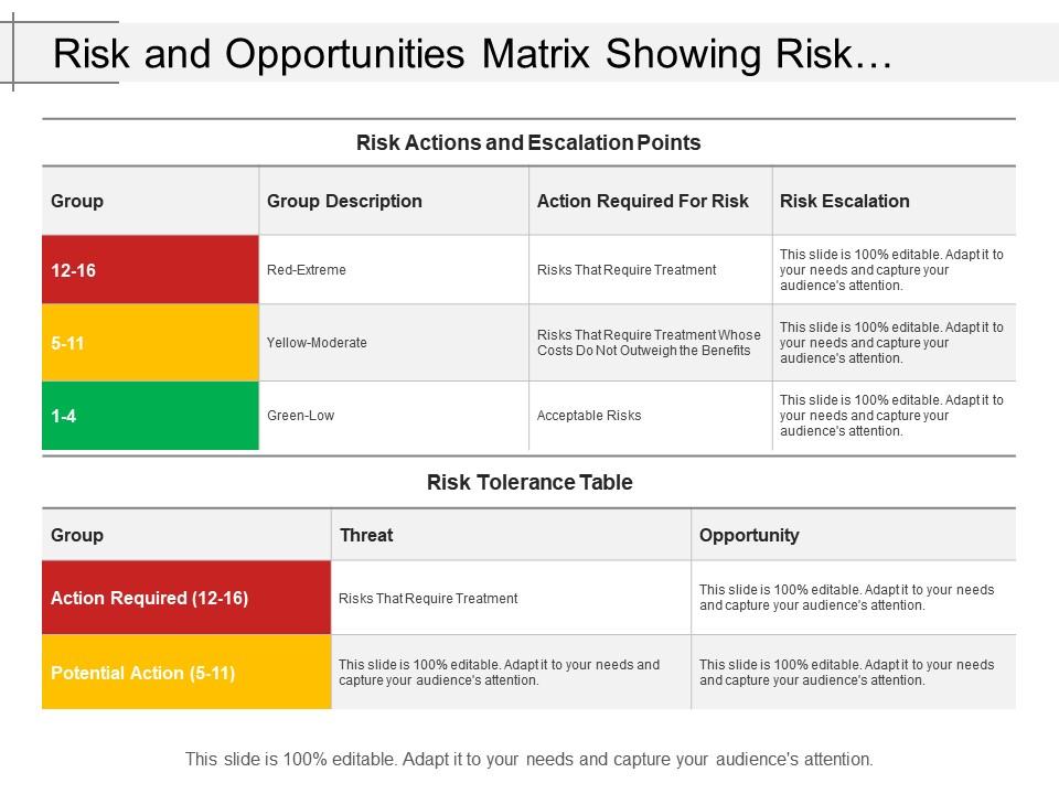 Risk and opportunities matrix showing risk tolerance table with opportunity Slide01