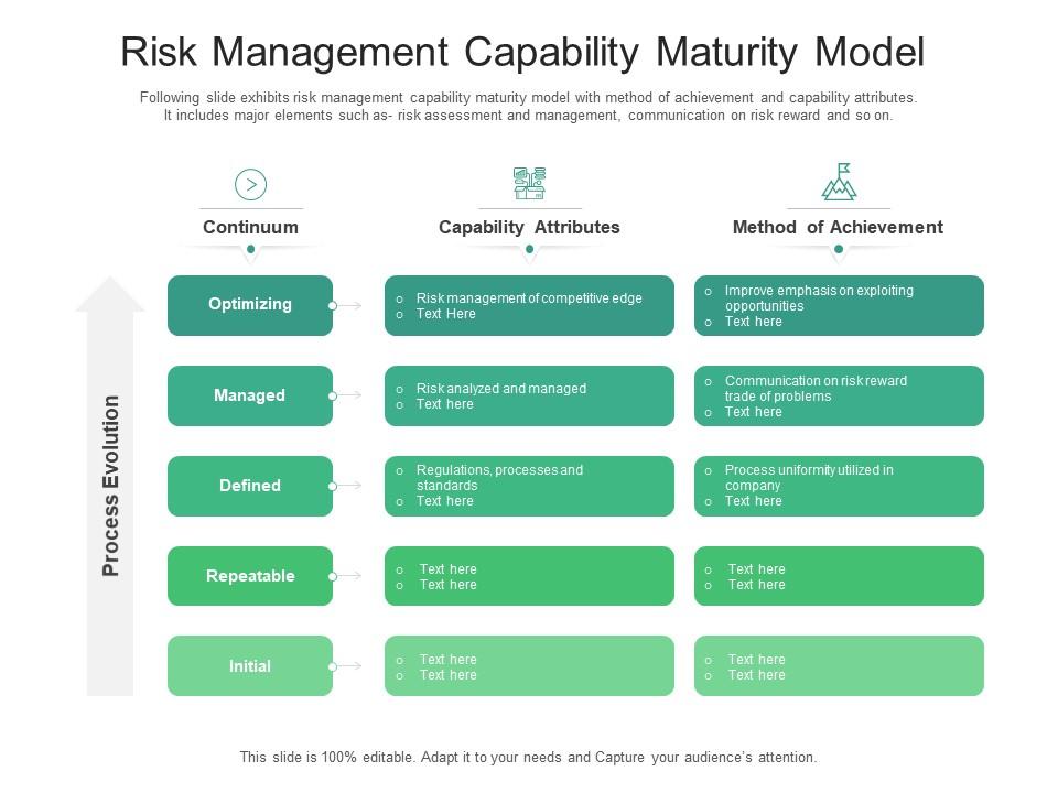 Risk management capability maturity model