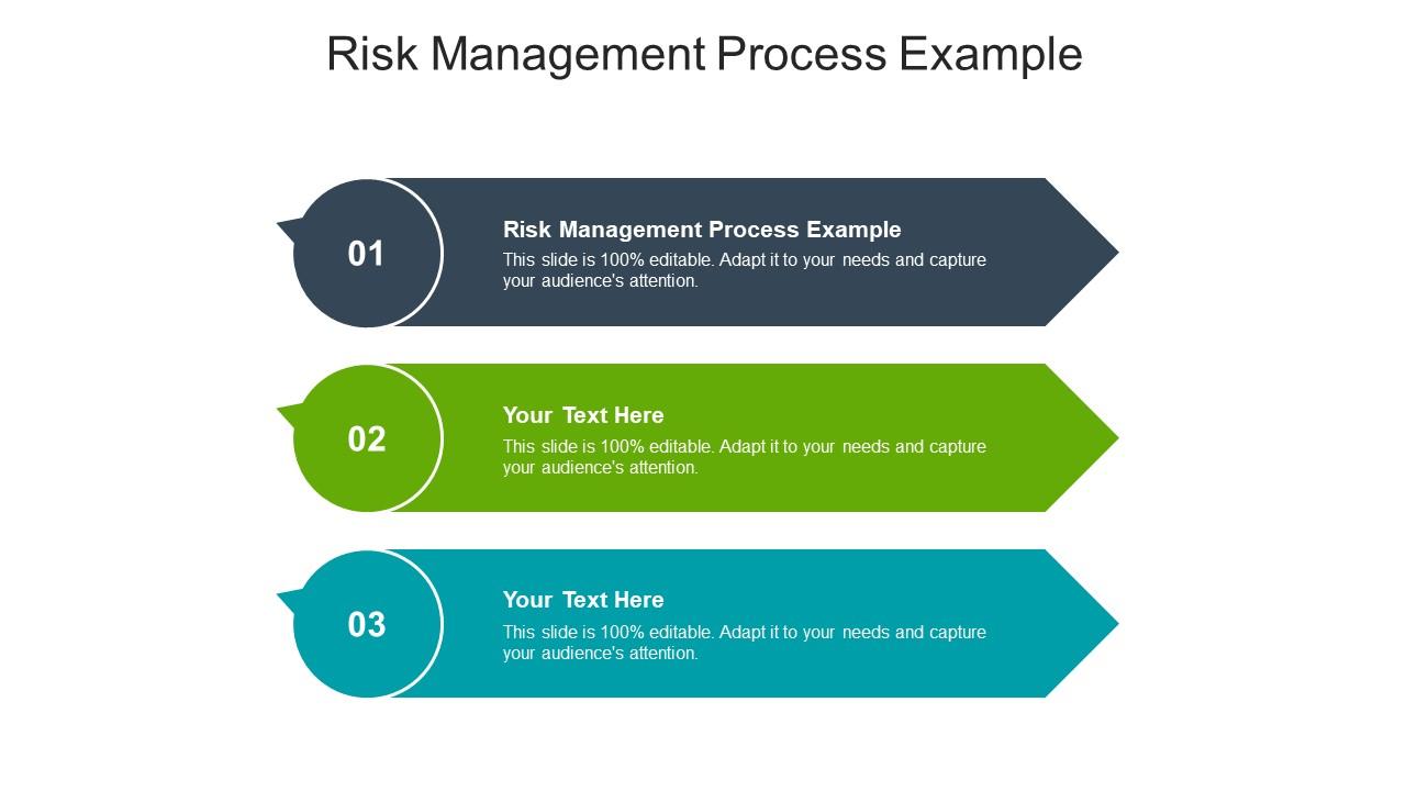 Risk Management Process Example Ppt Powerpoint Presentation Inspiration ...