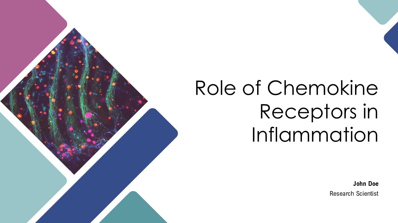 Role Of Chemokine Receptors In Inflammation PPT Slides AT Role Of Chemokine Receptors In Inflammation PPT Slides AT