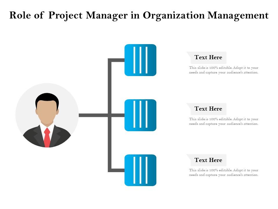 Role of project manager in organization management