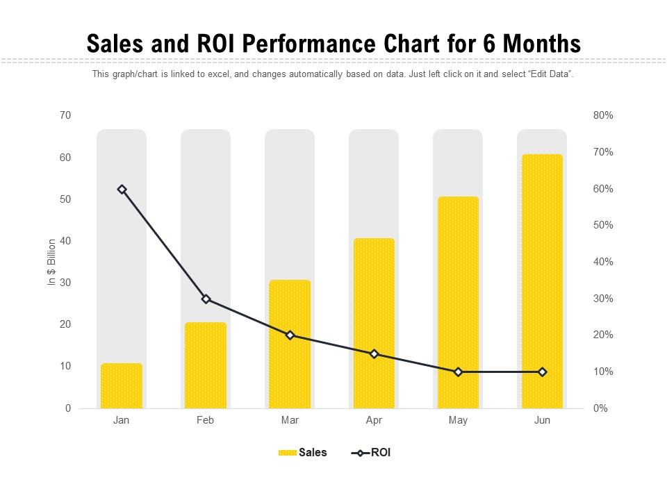Sales and roi performance chart for 6 months Slide00