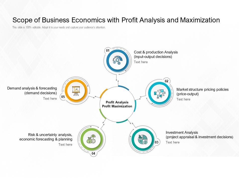 Scope Of Business Economics With Profit Analysis And Maximization