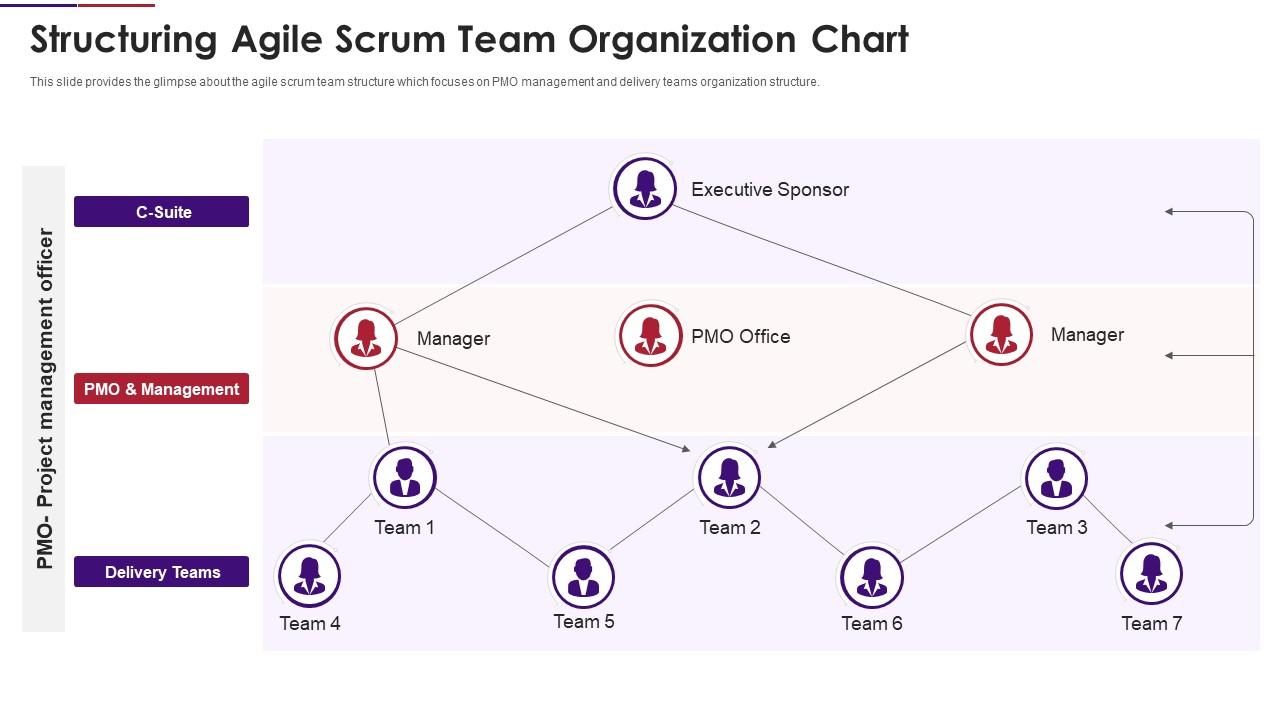 Scrum team composition structuring agile scrum team organization chart Slide01