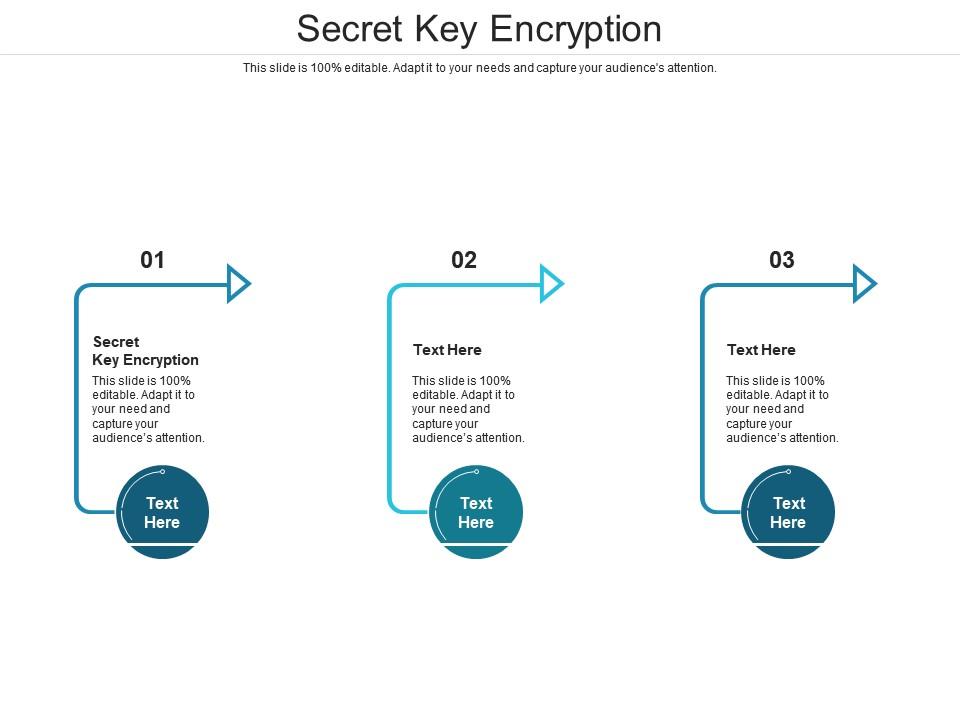 Secret Key Encryption Ppt Powerpoint Presentation Summary Mockup Cpb ...