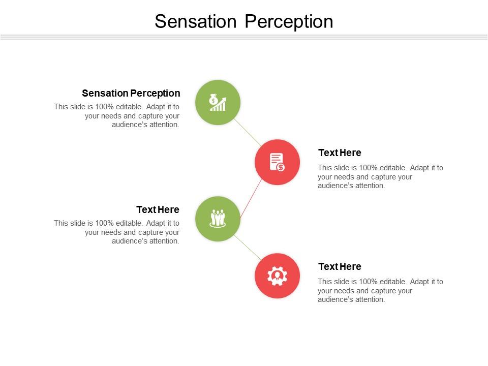 sensation perception and attention