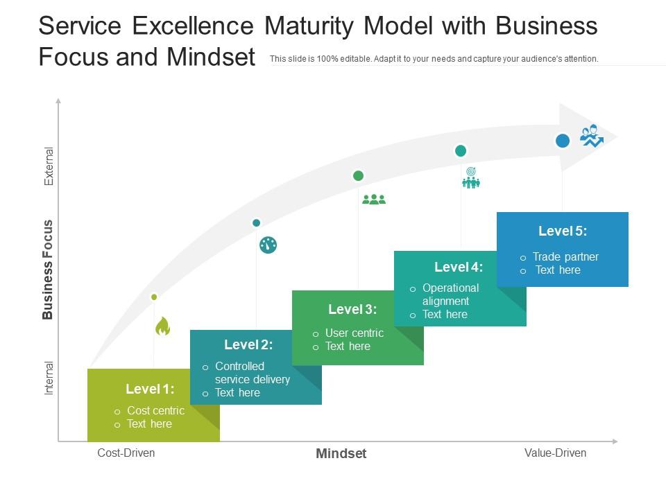 Service excellence maturity model with business focus and mindset