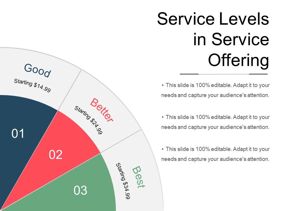 Service Levels In Service Offering Powerpoint Shapes Presentation