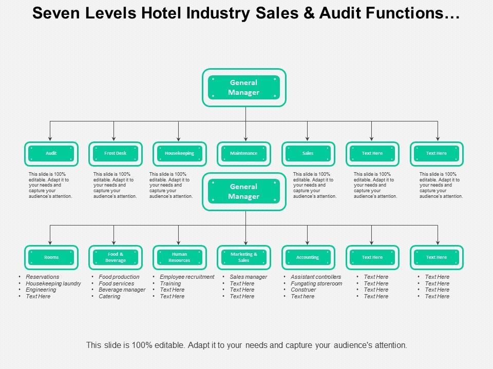 Seven Levels Hotel Industry Sales And Audit Functions Org Chart