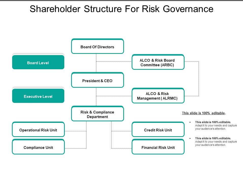 Shareholder structure for risk governance Slide00