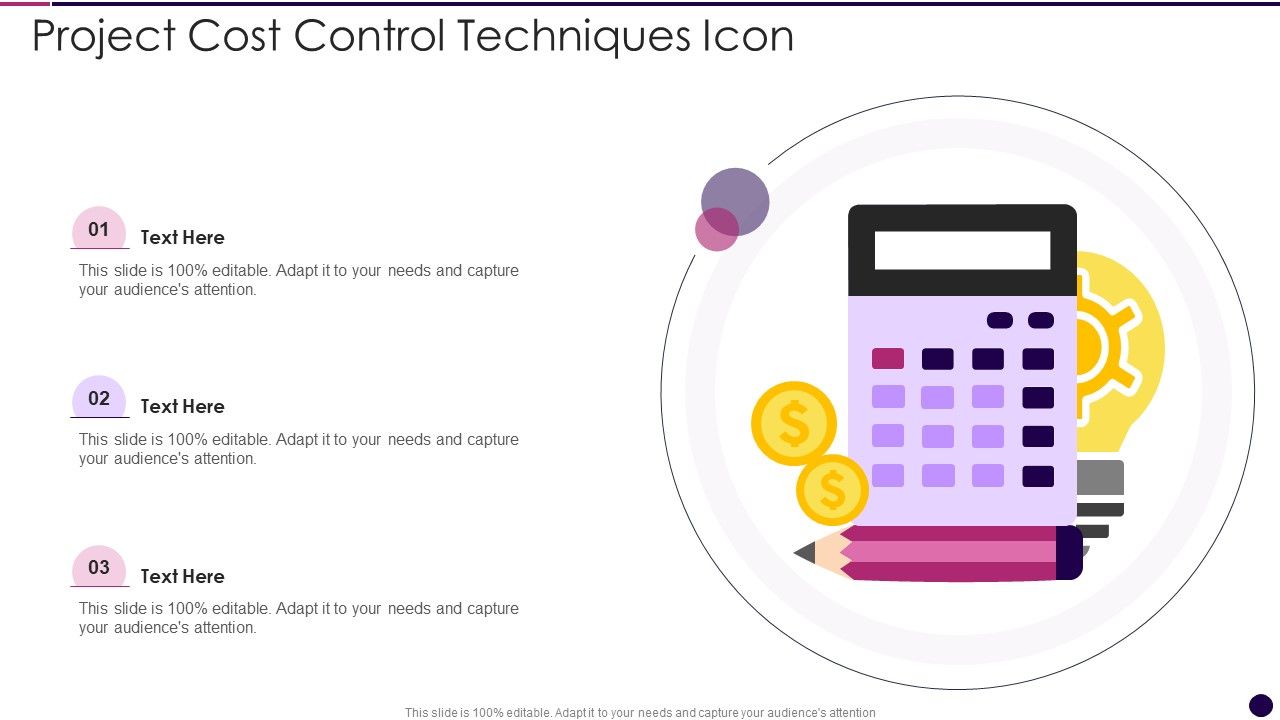 Project Cost Control Techniques Icon Slide01