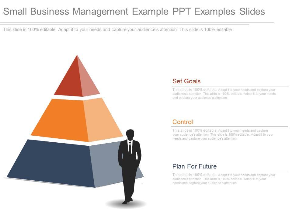 small_business_management_example_ppt_examples_slides_Slide01