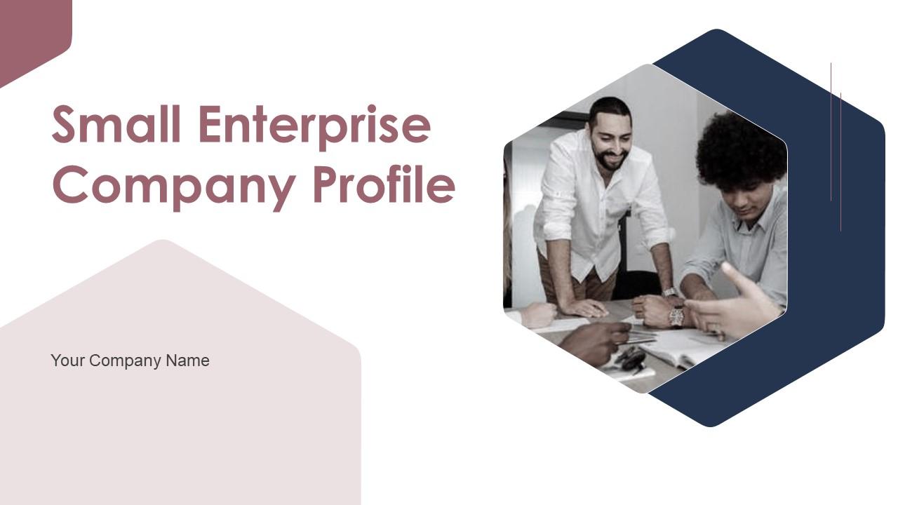 Small Enterprise Company Profile Powerpoint Presentation Slides Slide01