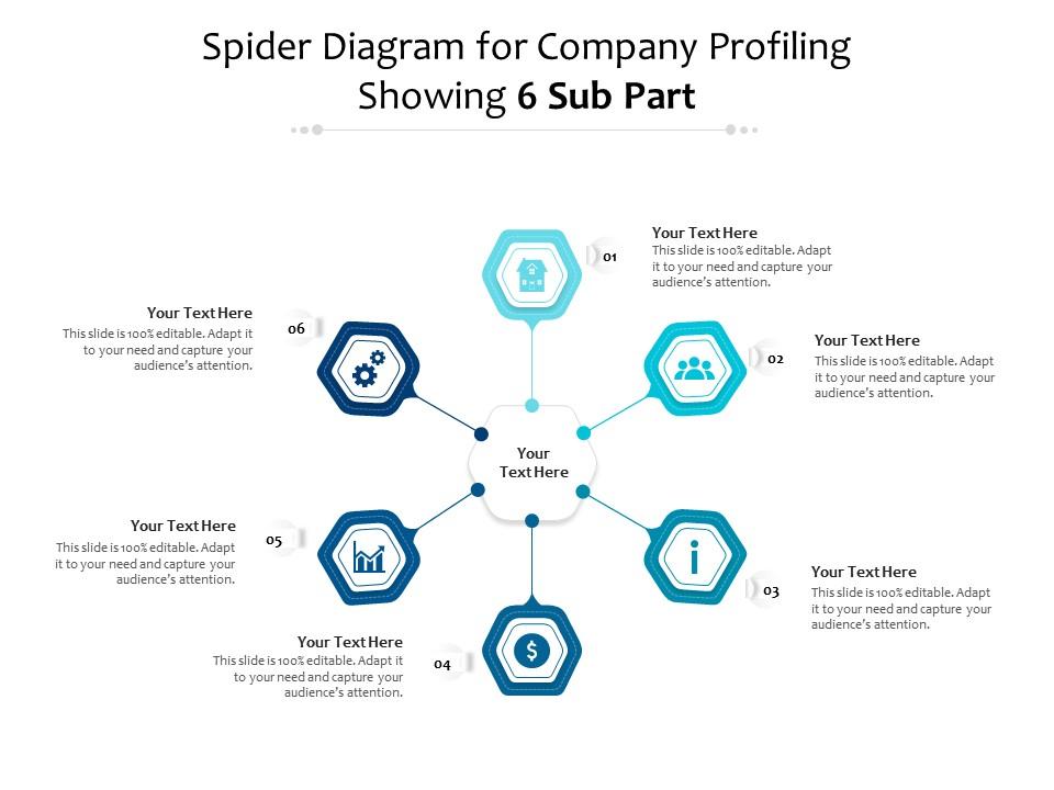 Spider diagram for company profiling showing 6 sub part