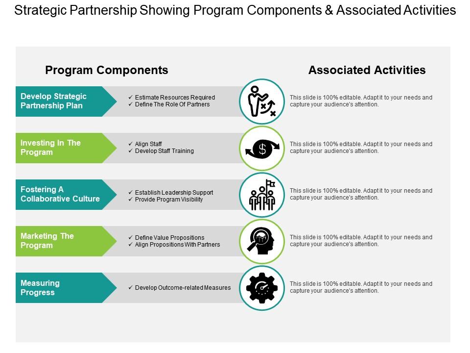 Strategic partnership showing program components and associated activities Slide01