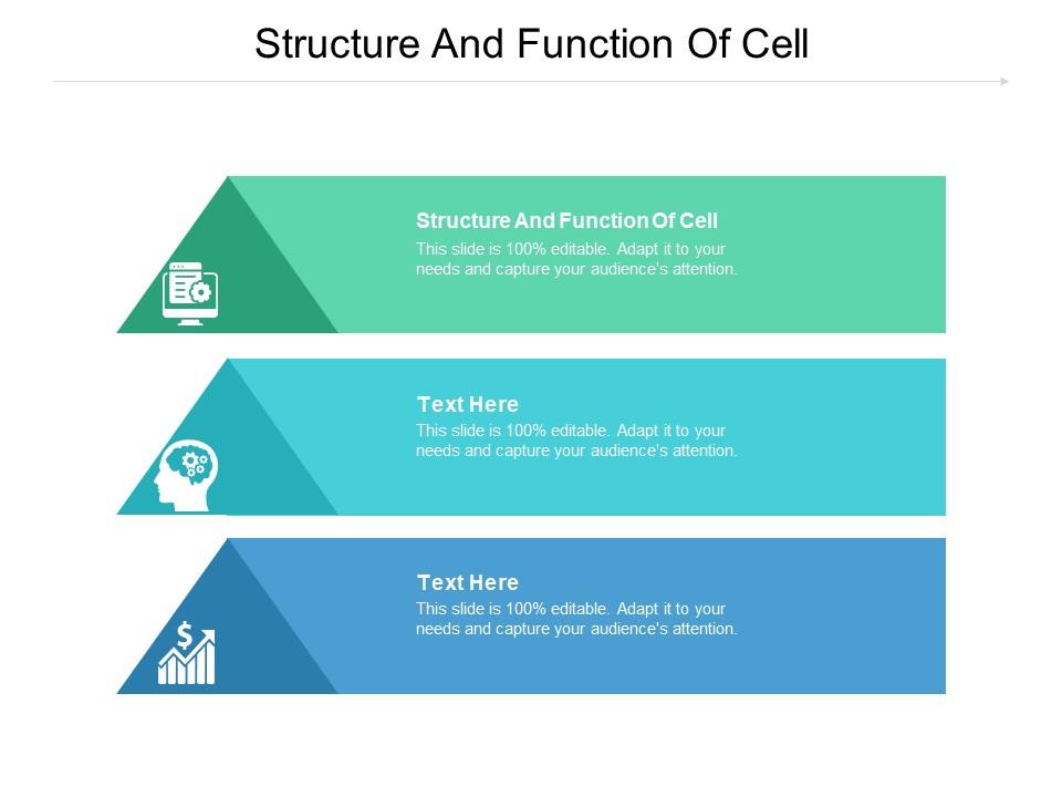 Structure And Function Of Cell Ppt Powerpoint Presentation Icon ...