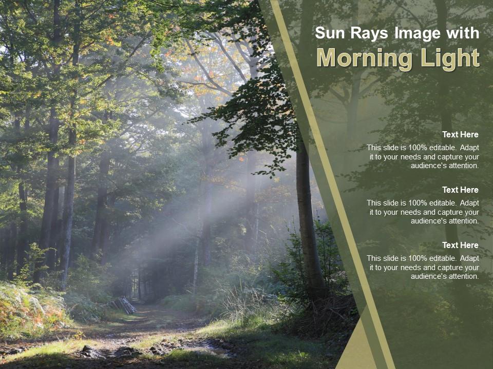 Top 10 sun ray diagram PowerPoint Presentation Templates in 2025