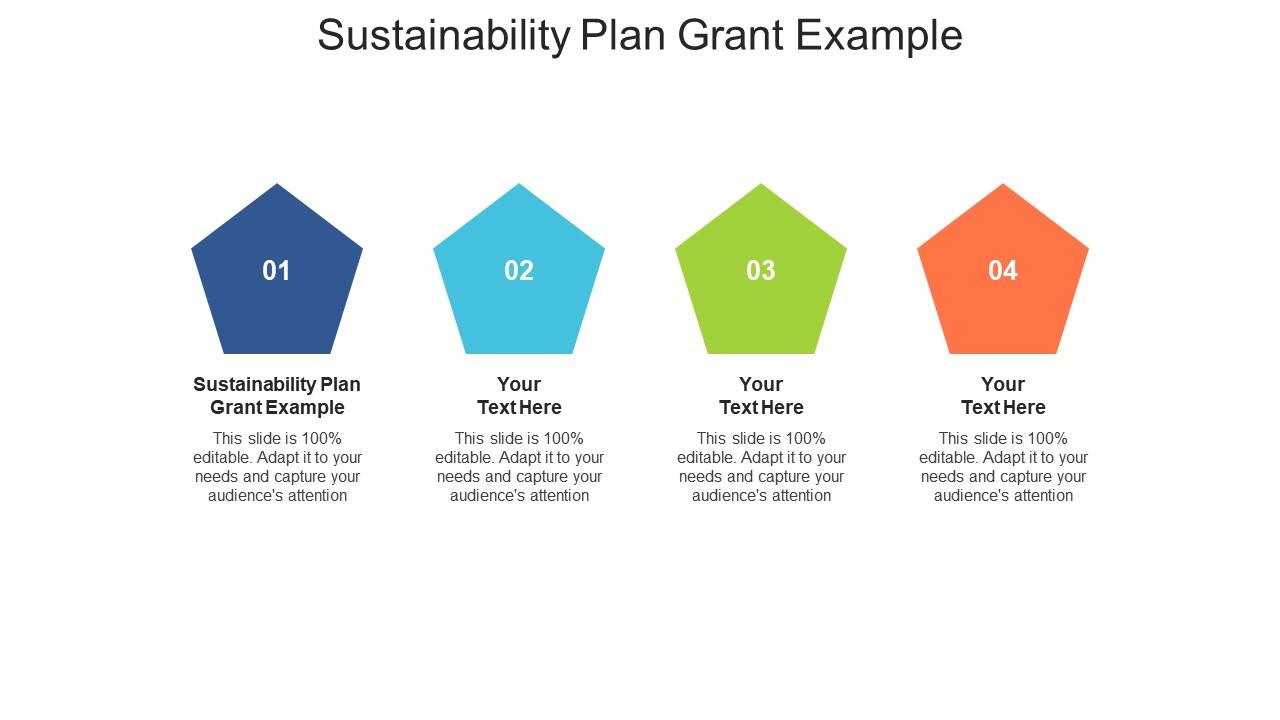 Sustainability Plan Grant Example Ppt Powerpoint Presentation 