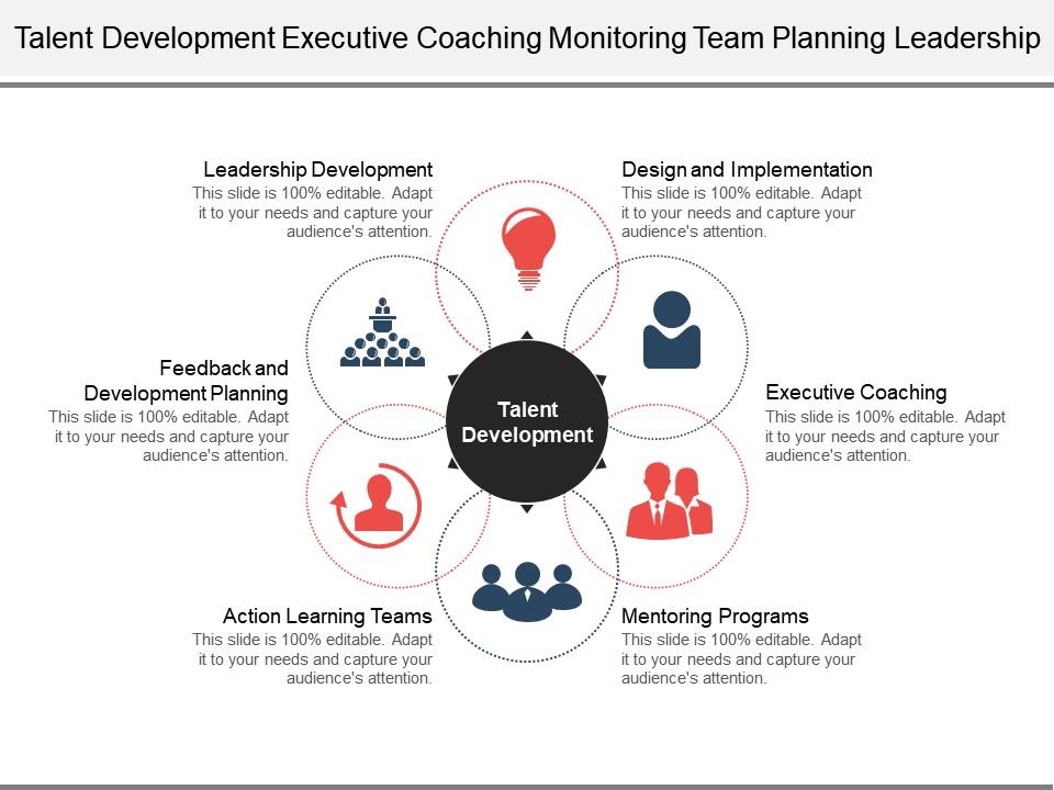 Talent development executive coaching monitoring team planning leadership Slide00