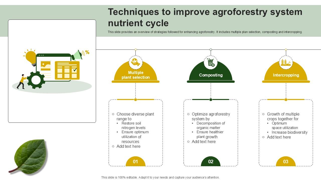 Techniques To Improve Agroforestry System Nutrient Cycle Ppt Sample PPT