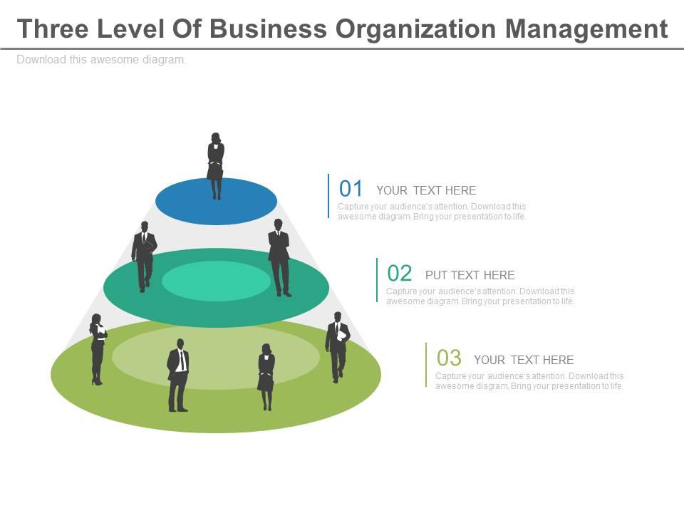 Three Level Of Business Organization Management Powerpoint Slides