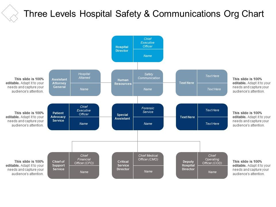 Three levels hospital safety and communications org chart Slide00