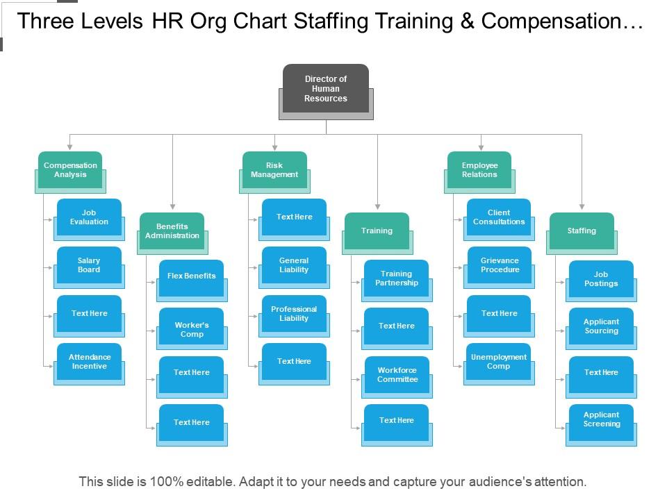 Three levels hr org chart staffing training and compensation analysis Slide00