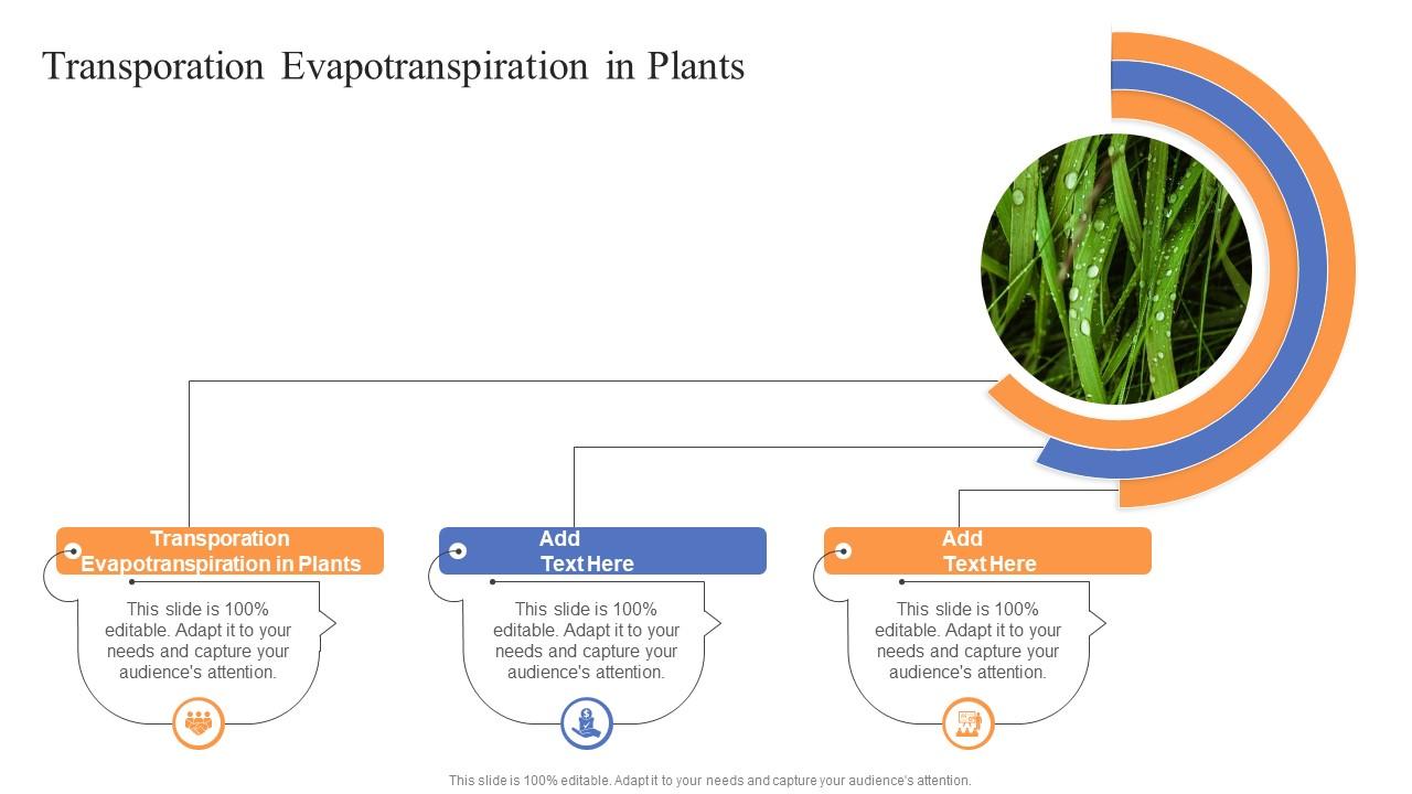 Transporation Evapotranspiration In Plants Ppt Presentation Cpp PPT ...