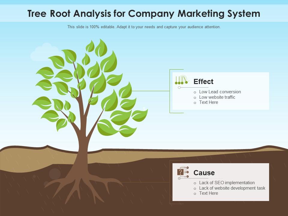 Tree root analysis for company marketing system