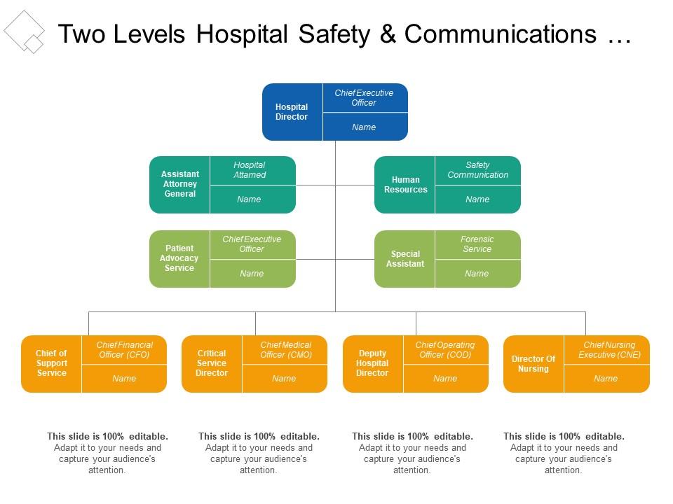 Two levels hospital safety and communications org chart Slide00