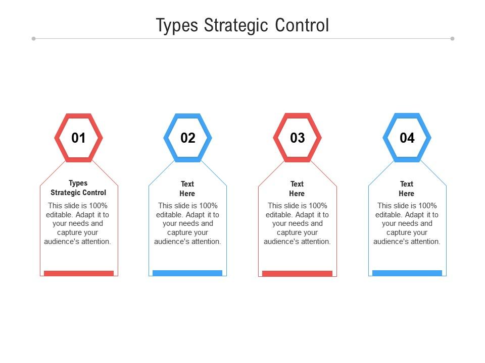 Types Strategic Control Ppt Powerpoint Presentation Gallery Format Cpb ...