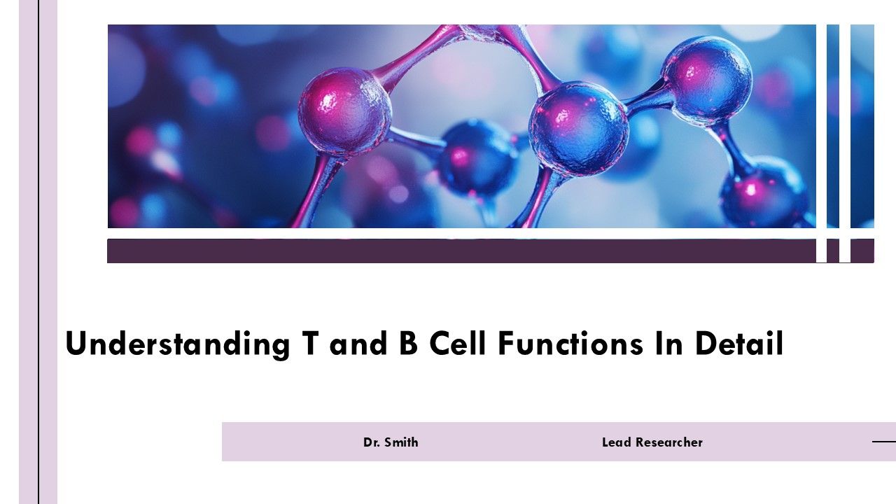 Understanding T And B Cell Functions In Detail PPT Presentation AT Understanding T And B Cell Functions In Detail PPT Presentation AT