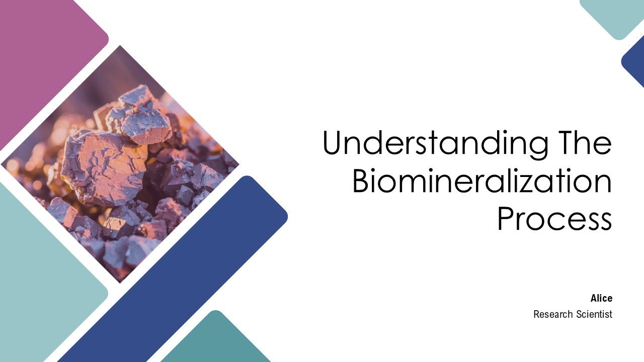 Understanding The Biomineralization Process PPT Designs AT Understanding The Biomineralization Process PPT Designs AT