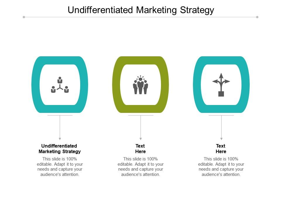 Undifferentiated Marketing Strategy Ppt Powerpoint Presentation Ideas