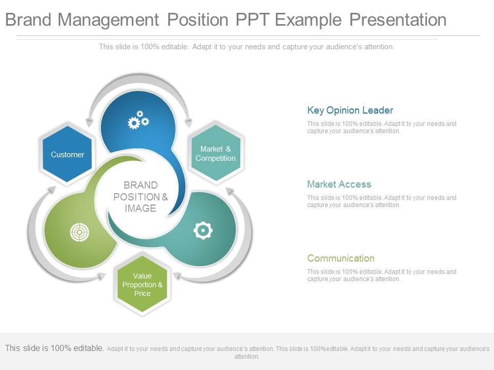 view_brand_management_position_ppt_example_presentation_Slide01